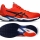 Pánská tenisová obuv Asics  Solution Speed FF 3 Clay 1041A437-800
