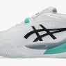 Pánská tenisová obuv Asics Resolution X Clay 1041A485-103