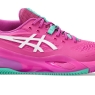 Pánská tenisová obuv Asics Gel-Resolution X Clay 1041A485-700