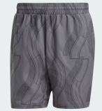 Tenisové kraťasy Adidas Club Tennis Graphic Short IP1884