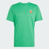 Pánské tričko Adidas Tennis Graphic Tee JV8496 zelené